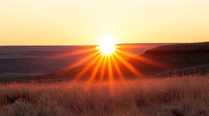 Golden sunrise over a vast, grassy plain.