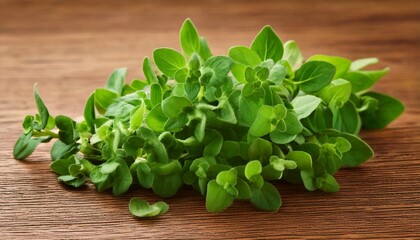 Oregano &ndash; An earthy, slightly bitter herb used in Mediterranean and Mexican cooking