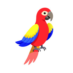 Parrot: The Colorful Birds of the Tropics
