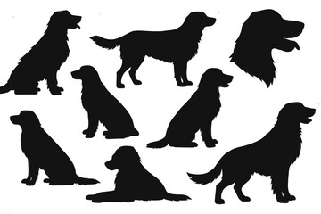 Monochrome silhouette set of nine Golden Retrievers in various poses, including sitting, standing, lying down, and head profiles. Represents this popular dog breed, companionship, and a simple, elegan