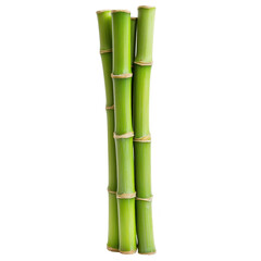 Obraz premium Three vibrant green bamboo stalks stand upright, showcasing their natural texture and segmented structure. image highlights simplicity and elegance of bamboo, often associated with tranquility
