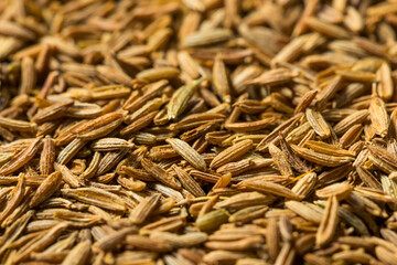 Organic Raw Dry Cumin Seeds