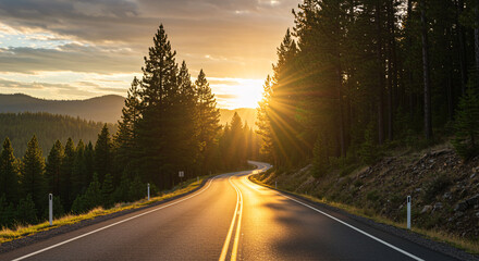 Scenic Highway with Sunburst Through Pine Trees &ndash; Winding Road and Golden Hour Landscape

