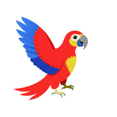 Parrot: The Colorful Birds of the Tropics