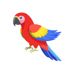 Parrot: The Colorful Birds of the Tropics