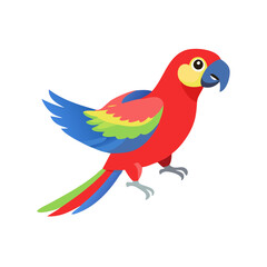 Parrot: The Colorful Birds of the Tropics