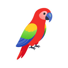 Parrot: The Colorful Birds of the Tropics