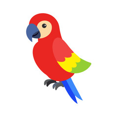 Parrot: The Colorful Birds of the Tropics