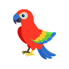 Parrot: The Colorful Birds of the Tropics