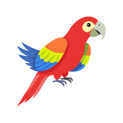 Parrot: The Colorful Birds of the Tropics
