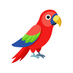 Obraz premium Parrot: The Colorful Birds of the Tropics