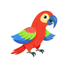 Parrot: The Colorful Birds of the Tropics
