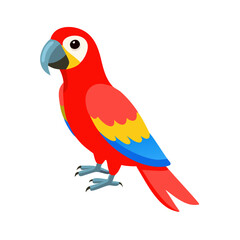 Parrot: The Colorful Birds of the Tropics