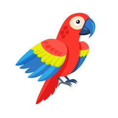 Parrot: The Colorful Birds of the Tropics
