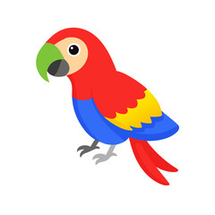 Parrot: The Colorful Birds of the Tropics