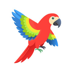 Parrot: The Colorful Birds of the Tropics