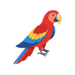Fototapeta premium Parrot: The Colorful Birds of the Tropics