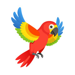 Obraz premium Parrot: The Colorful Birds of the Tropics