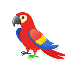 Parrot: The Colorful Birds of the Tropics