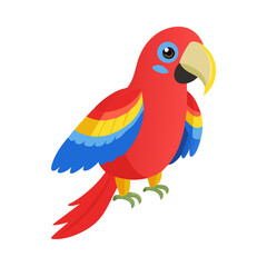 Parrot: The Colorful Birds of the Tropics