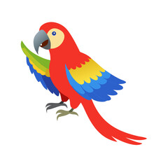 Parrot: The Colorful Birds of the Tropics