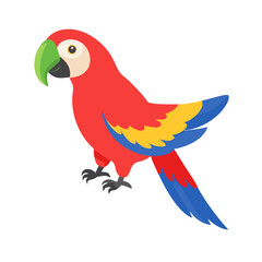 Obraz premium Parrot: The Colorful Birds of the Tropics