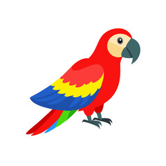 Parrot: The Colorful Birds of the Tropics