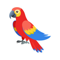 Parrot: The Colorful Birds of the Tropics