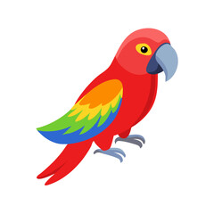 Parrot: The Colorful Birds of the Tropics