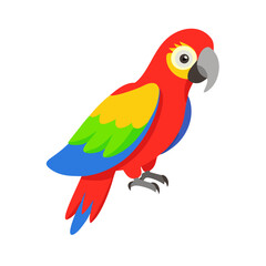Parrot: The Colorful Birds of the Tropics