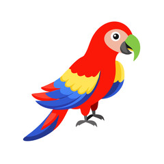 Parrot: The Colorful Birds of the Tropics