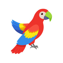 Parrot: The Colorful Birds of the Tropics