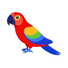 Parrot: The Colorful Birds of the Tropics