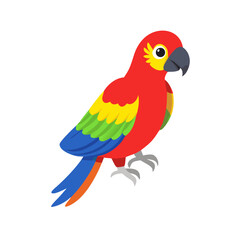 Parrot: The Colorful Birds of the Tropics