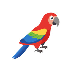 Parrot: The Colorful Birds of the Tropics