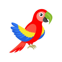 Parrot: The Colorful Birds of the Tropics