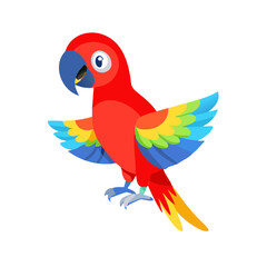 Parrot: The Colorful Birds of the Tropics