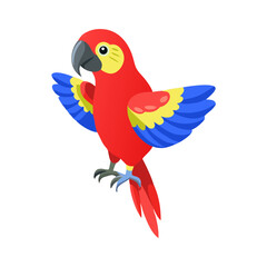 Parrot: The Colorful Birds of the Tropics