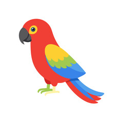 Parrot: The Colorful Birds of the Tropics