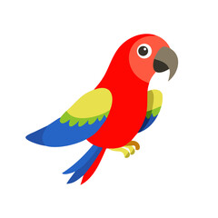 Parrot: The Colorful Birds of the Tropics