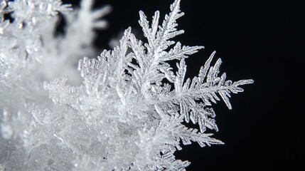 Detailed macro shot of intricate crystalline snowflake against black background.