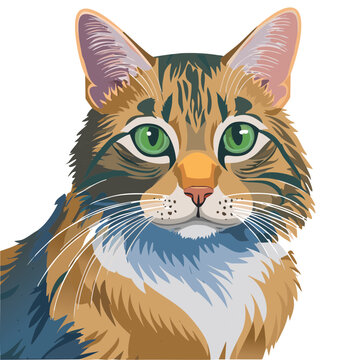 Cat Illustration ai svg path vector illustration of cartoon cat