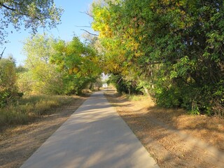 Tunnel of tree branches on the trail along the Boulder creek, Colorado