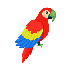 Parrot: The Colorful Birds of the Tropics