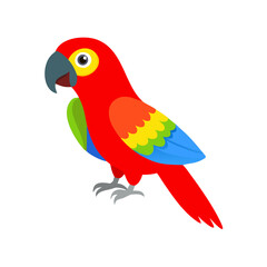 Parrot: The Colorful Birds of the Tropics