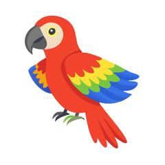 Parrot: The Colorful Birds of the Tropics