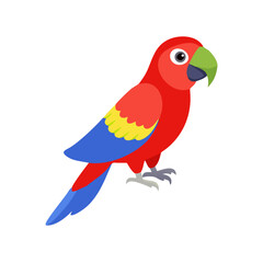 Parrot: The Colorful Birds of the Tropics
