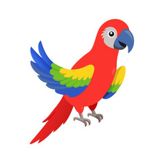 Parrot: The Colorful Birds of the Tropics