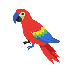 Parrot: The Colorful Birds of the Tropics
