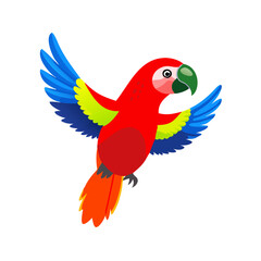 Parrot: The Colorful Birds of the Tropics